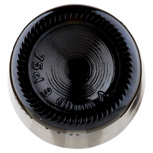 Cantina Trevigiana Prosecco DOC Treviso Extra Dry 0,75 l