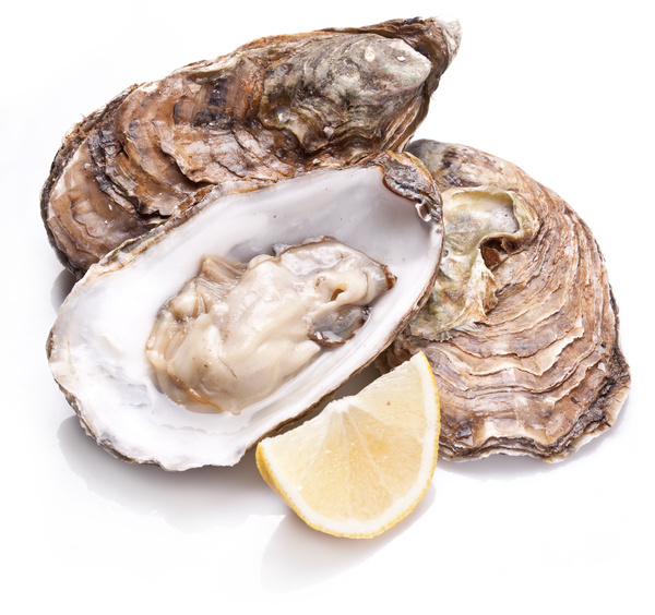 Ostriche Concave N 1