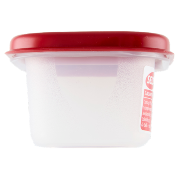 Selex Contenitore per Alimenti Freezer/Frigo Rettangolare 0,15 L