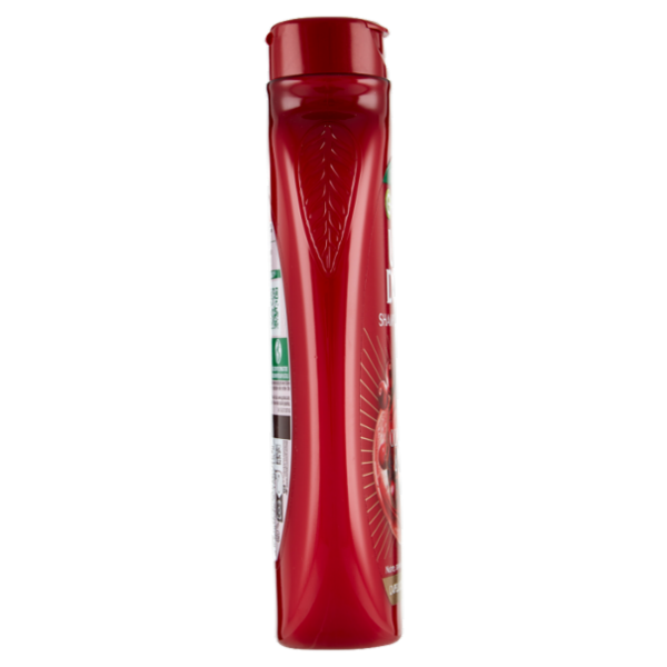 Garnier Ultra Dolce Shampoo all'Olio di Argan e Mirtillo Rosso per capelli colorati, 250 ml