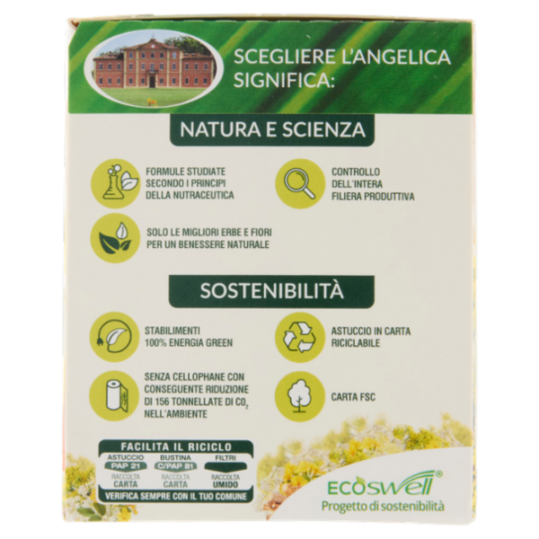 L'Angelica Le Tisane Senna e Carvi Regolarità 18 Filtri 34,2 g