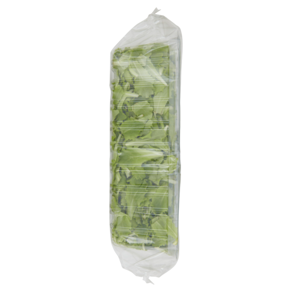 OrtoRomi Lattughino 400 g