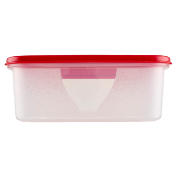 Selex Contenitore per Alimenti Freezer/Frigo Rettangolare 2,7 L