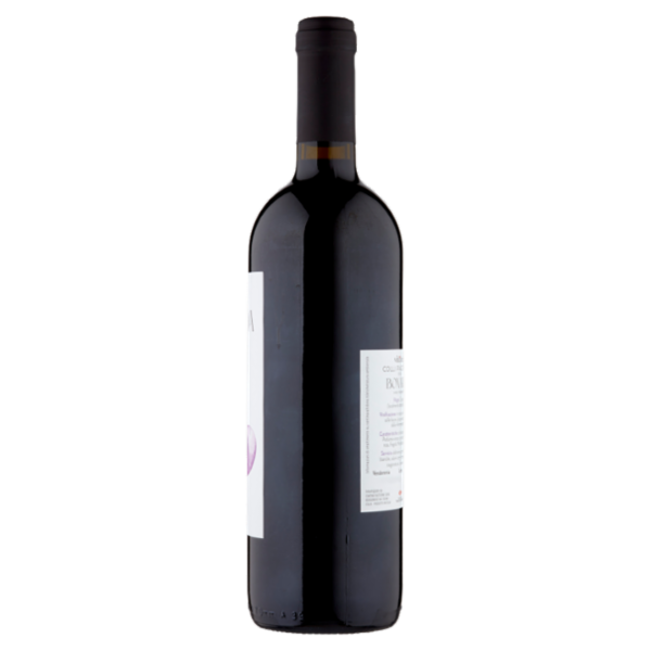 Cantina Valtidone viti&vini Colli Piacentini D.O.C. Bonarda Vino Frizzante 0,75 l