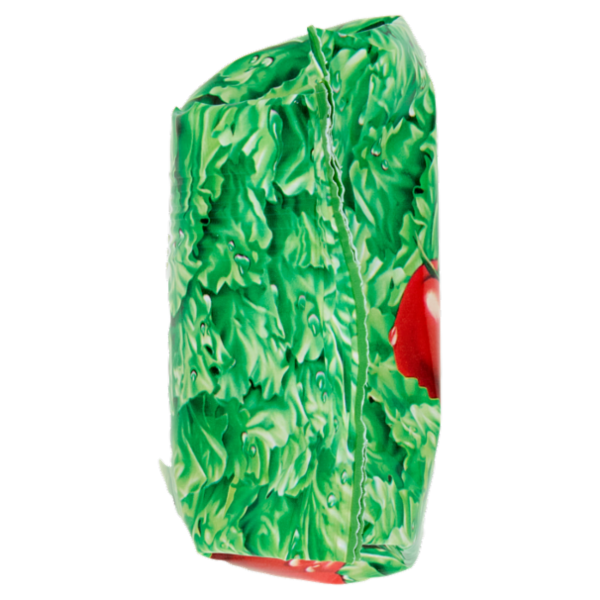 Nonno Nanni stracchino senza lattosio 165 g