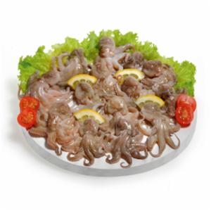 Polpo Piccolo Decongelato