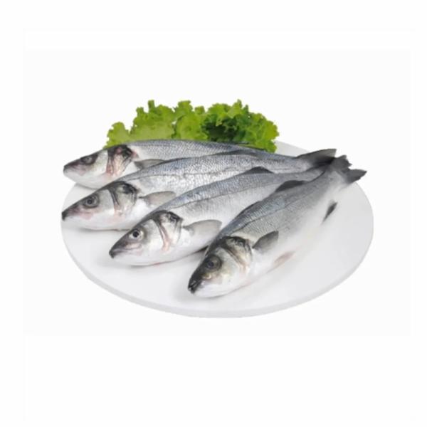 Branzino 800/1000 Antibiotic Free Cal. 1-2