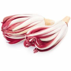 Radicchio Tardivo
