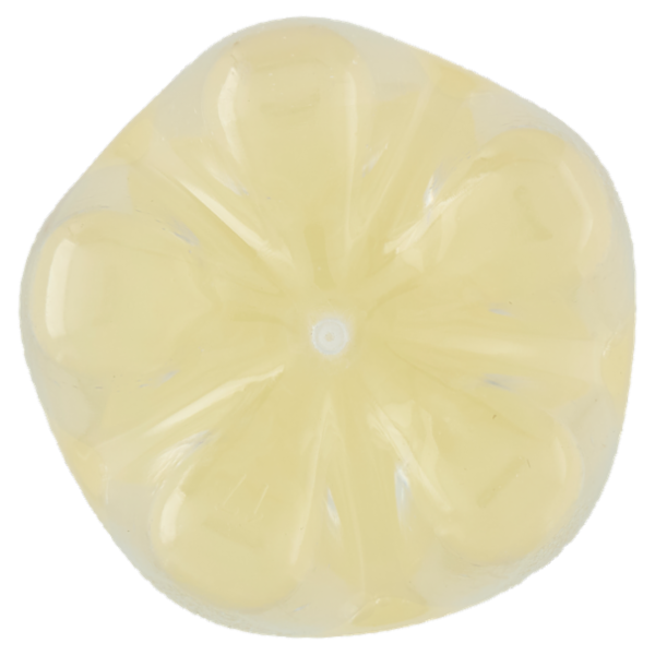 Schweppes Agrumi Zero 1L PET