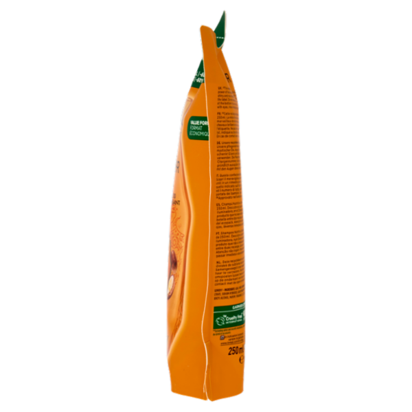 Garnier Ultra Oli Meravigliosi Argan & Camelia, Eco-ricarica Shampoo Nutriente Capelli Secchi, 250ml