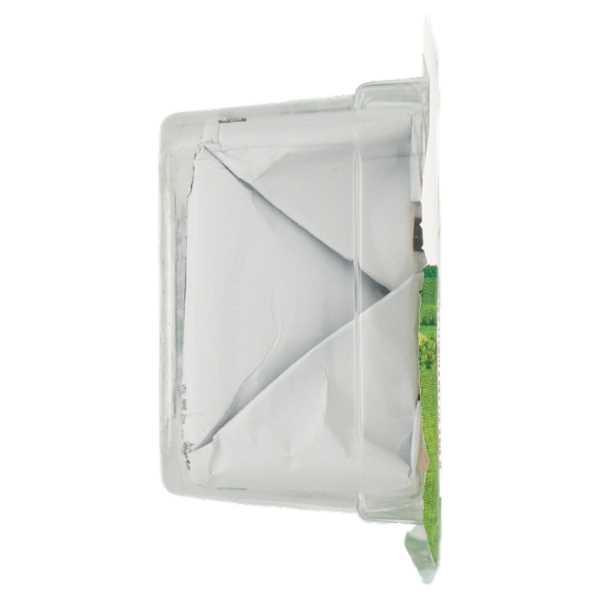 Parmareggio Robiolino con Parmigiano Reggiano 2 x 60 g