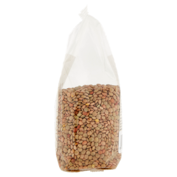 Consilia Legumi Secchi Lenticchie Verdi Biologiche 300 g