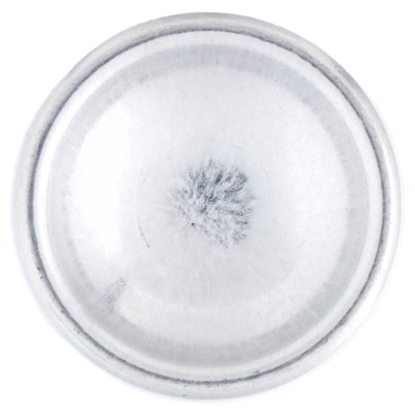 Neutro Roberts Essenze Italiane Siracusa Olio Essenziale di Arancia e Fiori di Sale 200 ml