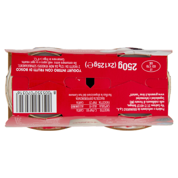 Yomo i Frutti di bosco 2 x 125 g