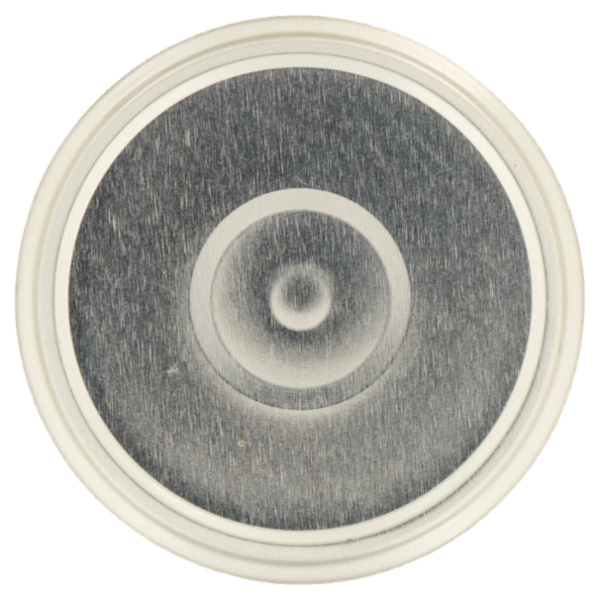 La Reinese Melanzane a Falde 320 g