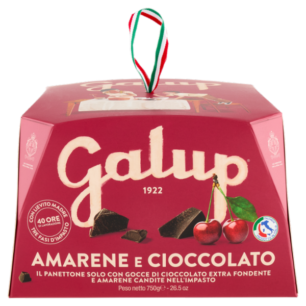 Galup Amarene e Cioccolato 750 g