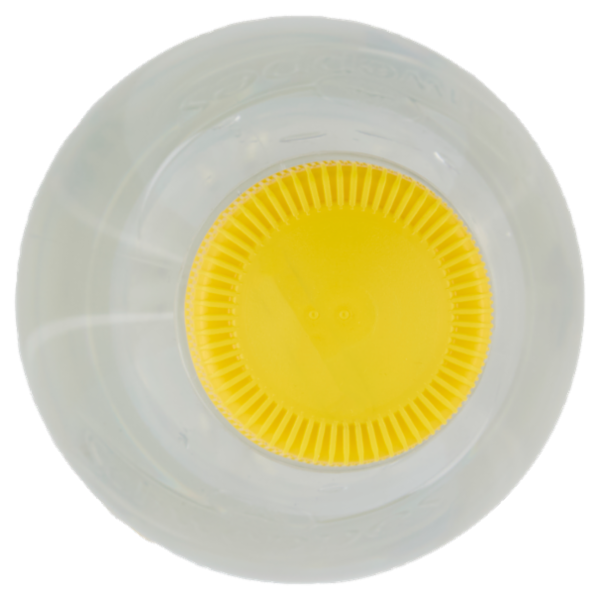 Schweppes Tonica PET 0,5 L