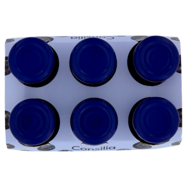 Consilia Nettare di Mirtillo Nero 6x125 ml