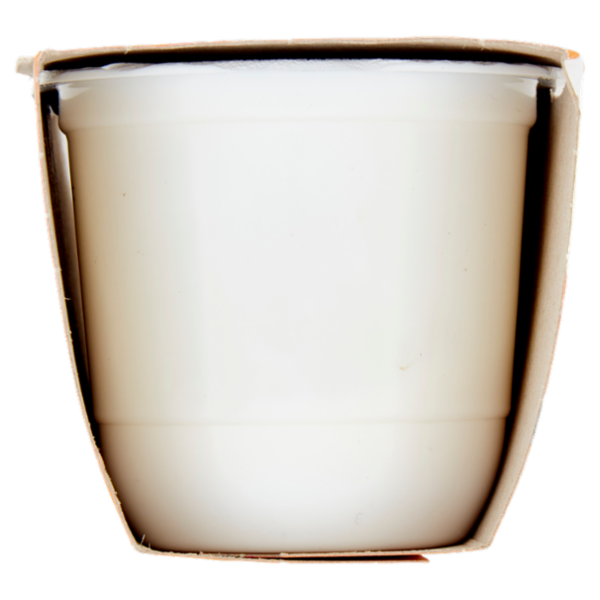 ZYMIL Alta Digeribilità Senza Lattosio Yogurt Bianco 2 x 125 g