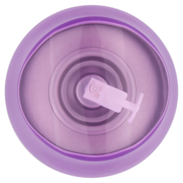 Air Wick Freshmatic Collection 1 - Giardino delle Rose Spray Automatico per Ambienti Ricarica 250 ml