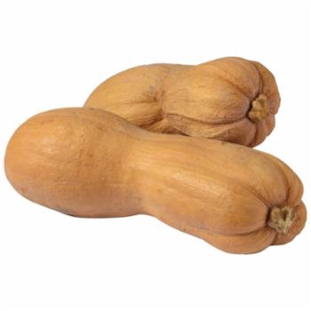 Zucca Violina Italia
