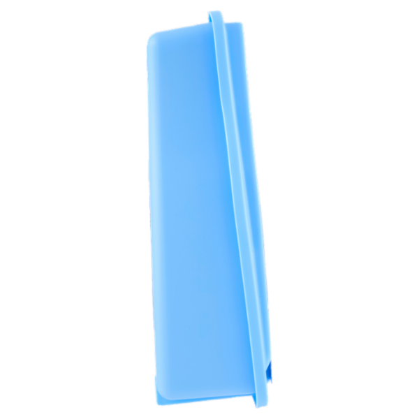 Felce Azzurra classico Gel assorbiodori 140 g