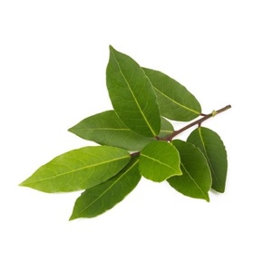 Alloro Confezionato 30g