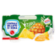 Centrale del Latte di Roma Zero Grassi Ananas Yogurt magro con frutta in pezzi 2 x 125 g