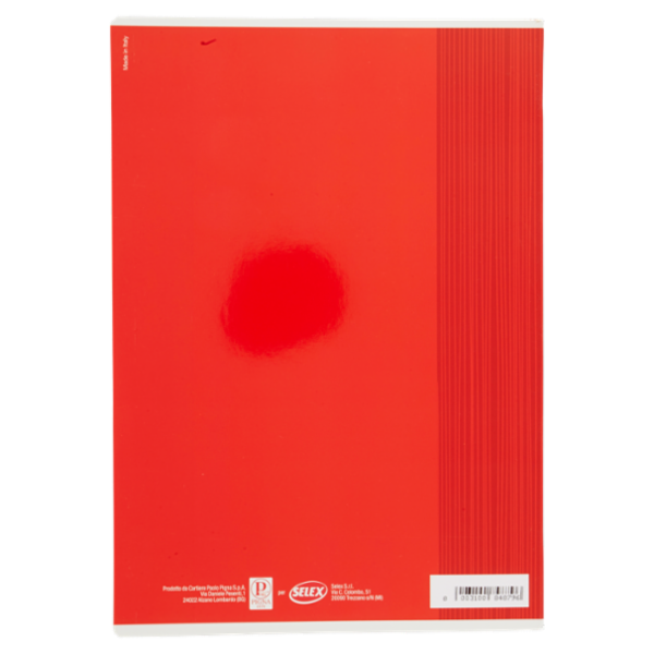 Selex Quaderno Maxi Formato A4 Fogli 40 Quadretti 5 mm con Margine