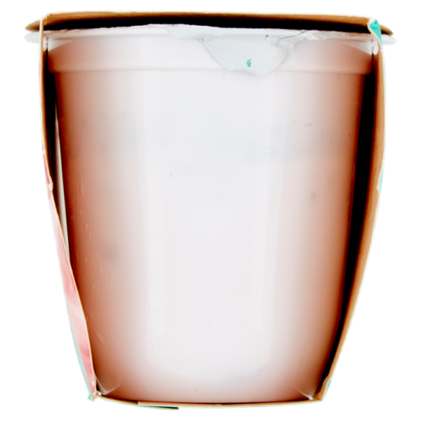 Granarolo Yogurt Cremoso con fragole in pezzi 2 x 125 g