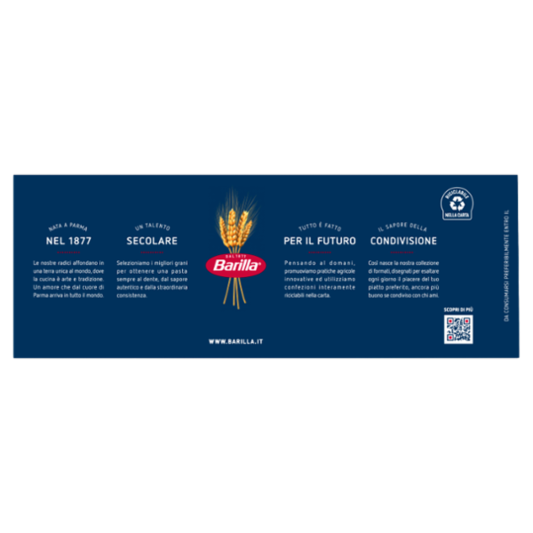 Barilla Pasta Bucatini n.9 500g