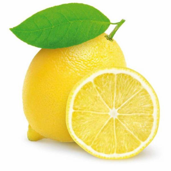 Alcenero Bio Limoni Gr 500