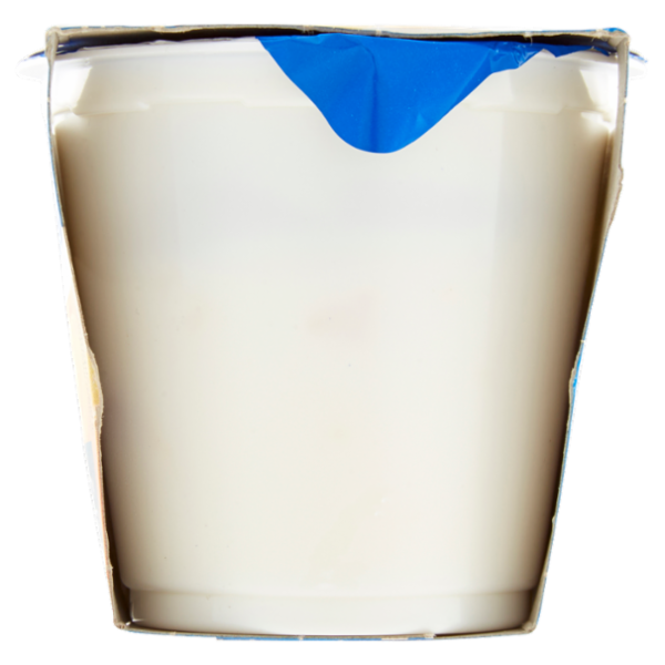 Selex Yogurt Intero Albicocca con Frutta in Pezzi 2x125 g