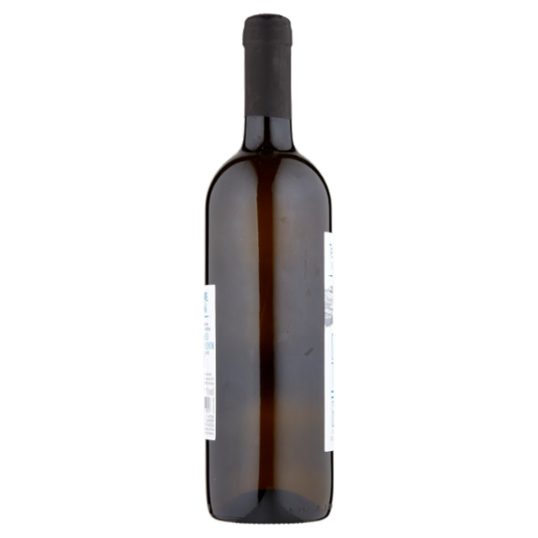 Terre del Mai Ortrugo dei Colli Piacentini D.O.C. Frizzante 75 cl