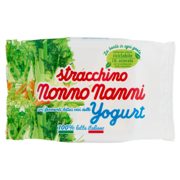 Nonno Nanni stracchino con fermenti lattici vivi dello Yogurt 100 g