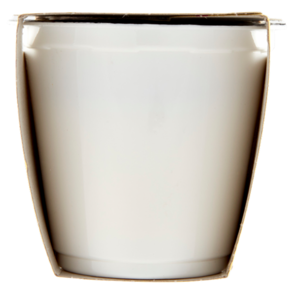 Consilia Yogurt Intero Vaniglia 2x125 g