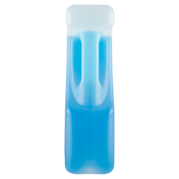 Selex Accessori Auto Liquido Protettivo per Circuiti di Raffreddamento 2 L