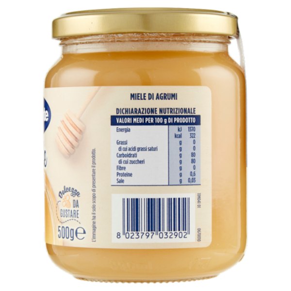 IL GIGANTE Miele di Agrumi 500 g