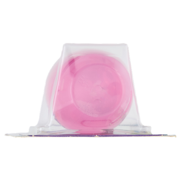 mister Magic l'Assorbiodori Frigo con Aceto 40 g