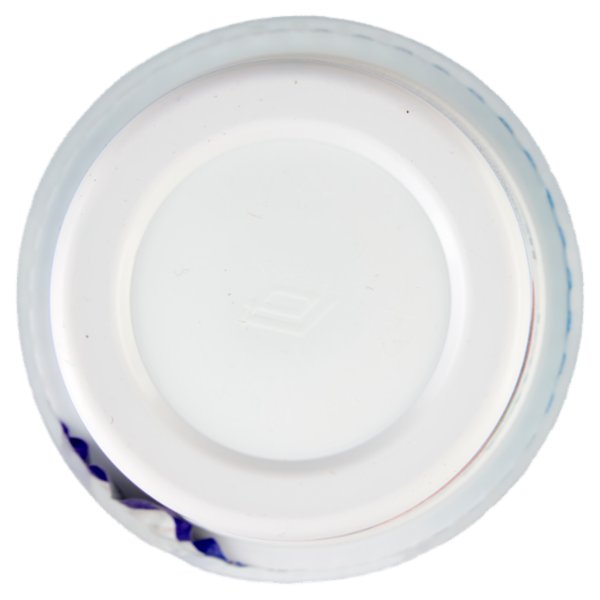 lattebusche yogurt Frutti di Bosco 500 g