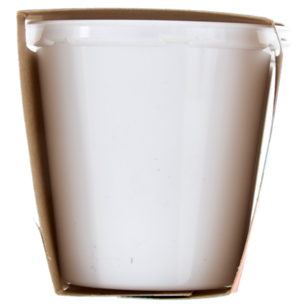 Selex Yogurt Magro Pesca 2x125 g