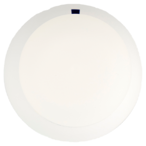 Neutro Roberts Delicato Profumo di Sapone 150 ml