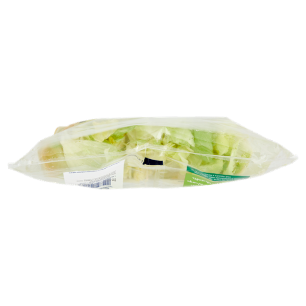IL GIGANTE le Insalate Iceberg 200 g