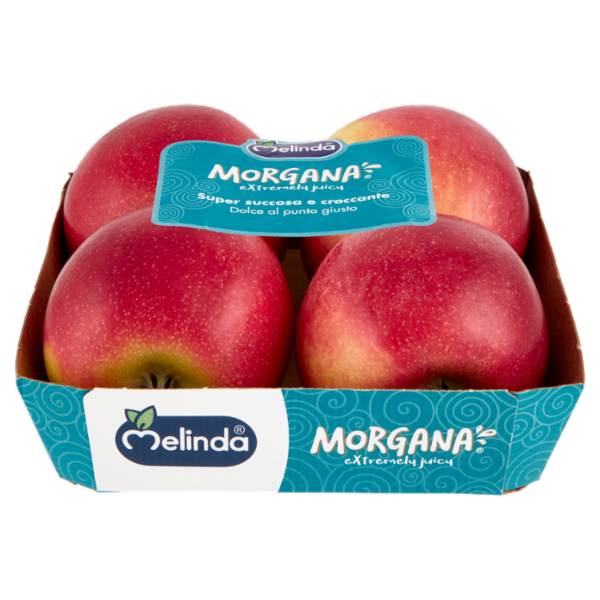 Melinda Morgana 0,900 kg