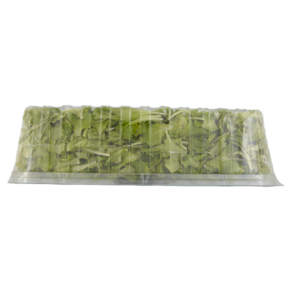 Sù Lattughino Lavato e Pronto per il Consumo in Vaschetta 400 g