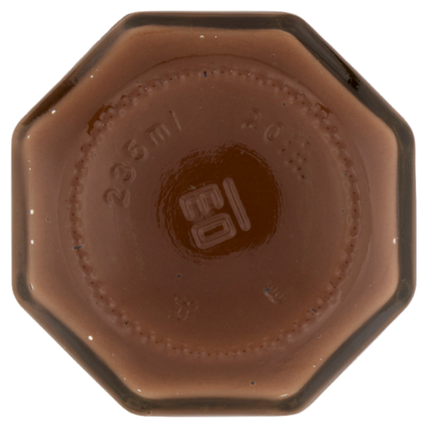 Rigoni di Asiago Nocciolata la Crunchy bio 250 g