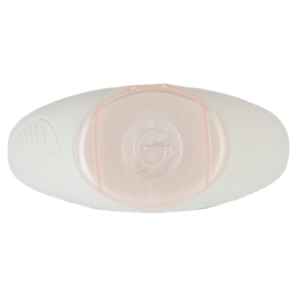 Garnier Ultra Dolce Shampoo Delicatezza D'Avena capelli delicati Crema di riso e latte d'avena 300ml