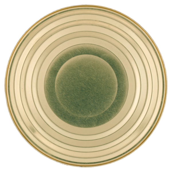 Sù Fagioli Borlotti Lessati 2600 g