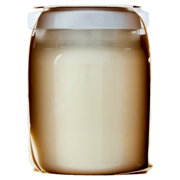 BiancoViso Yogurt di Capra Biologico Bianco Magro 2 x 125 g