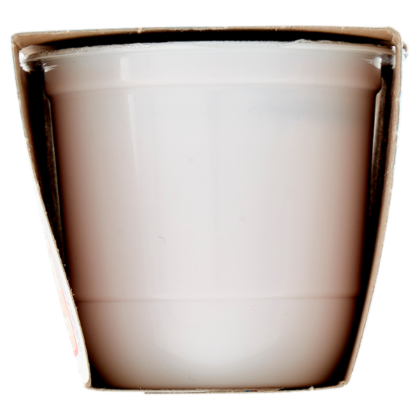 Centrale del Latte di Roma elleDì Yogurt Alta Digeribilità Senza Lattosio* Fragola 2 x 125 g